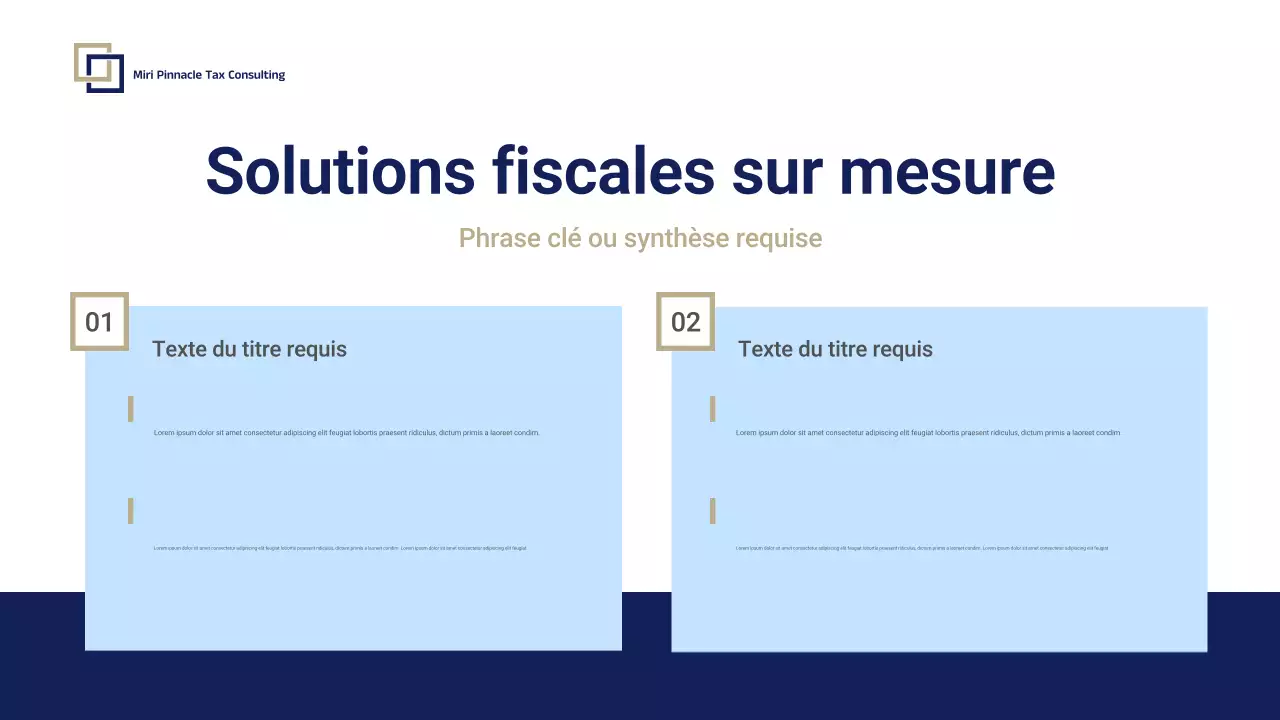 Présentation promotionnelle de Blue Professional Tax Consulting