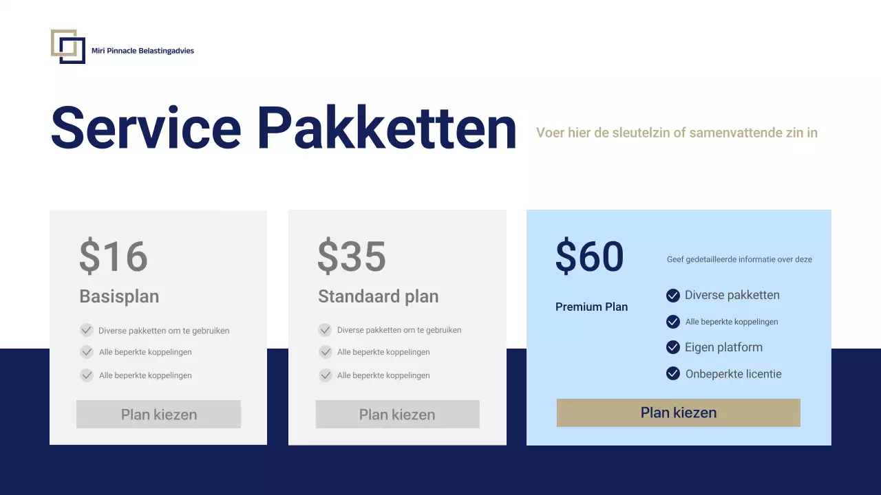 Blue Professional Tax Consulting Promotie Presentatie