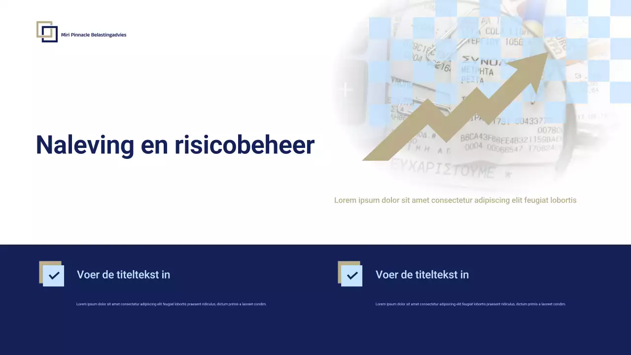 Blue Professional Tax Consulting Promotie Presentatie