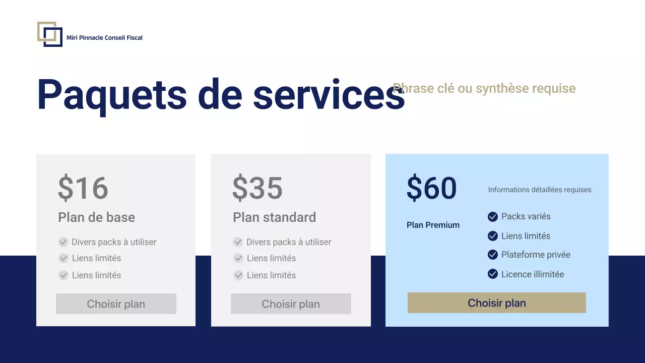 Présentation promotionnelle de Blue Professional Tax Consulting