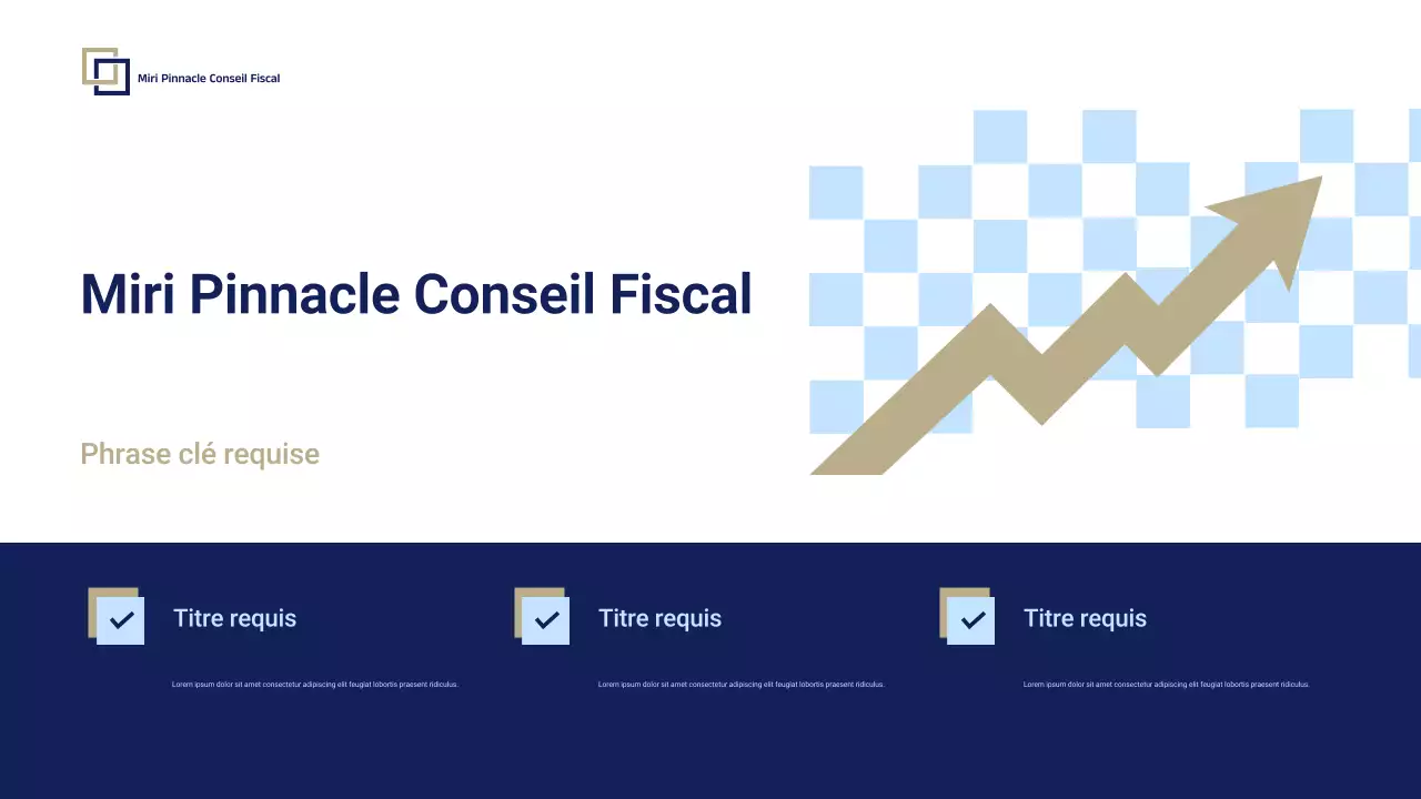 Présentation promotionnelle de Blue Professional Tax Consulting