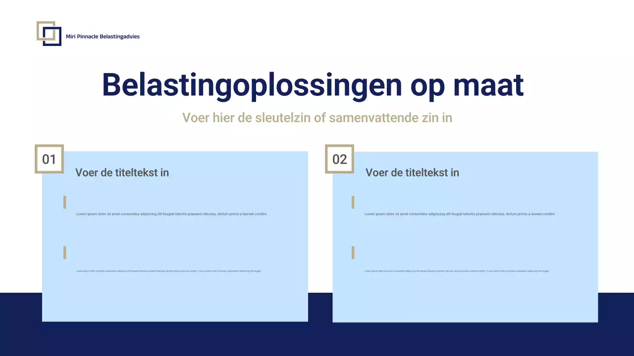 Blue Professional Tax Consulting Promotie Presentatie