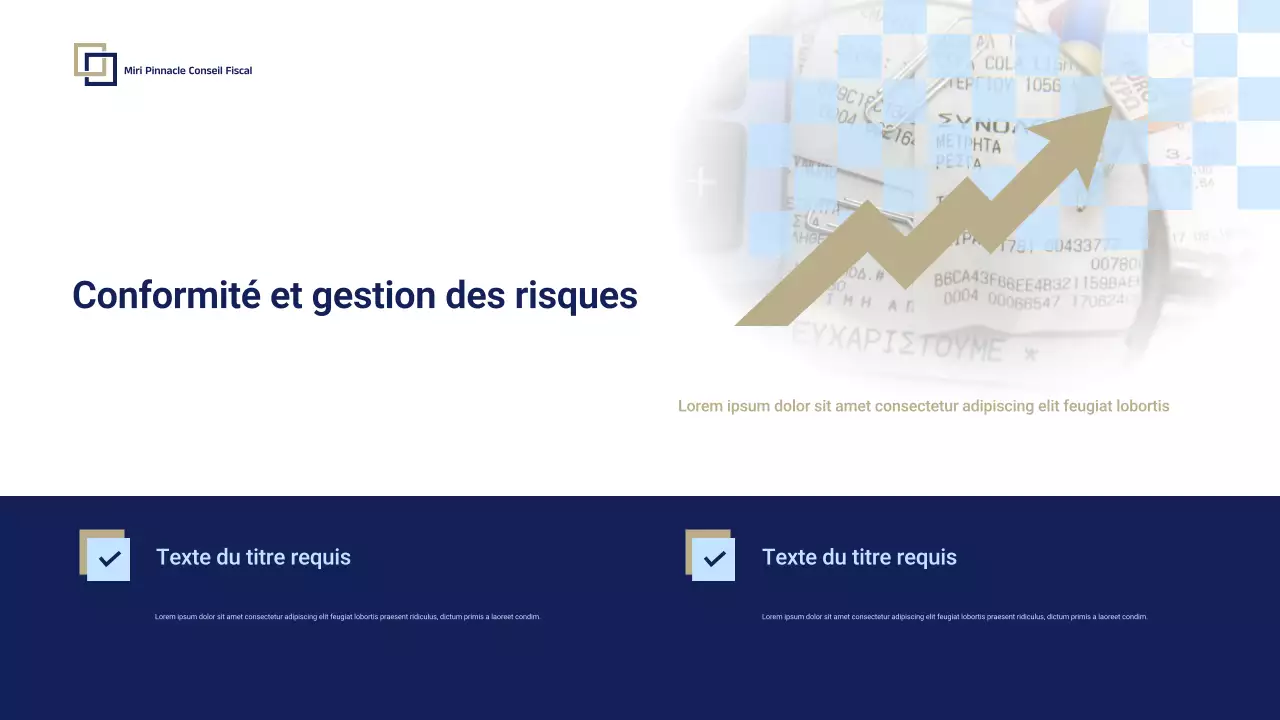 Présentation promotionnelle de Blue Professional Tax Consulting