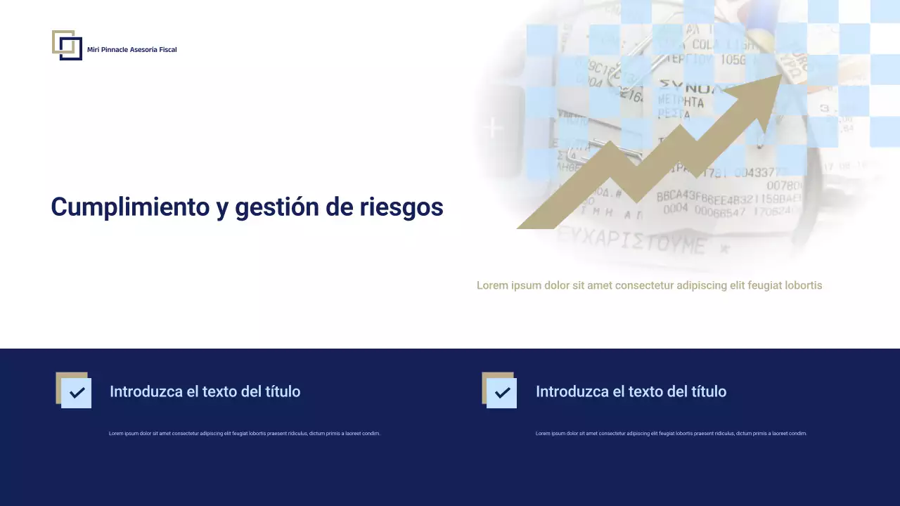 Presentación de la promoción de Blue Professional Tax Consulting