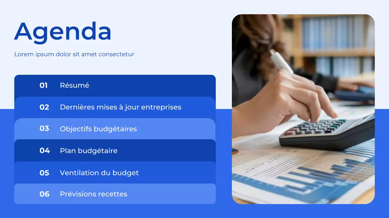 Présentation du planificateur budgétaire bleu et blanc