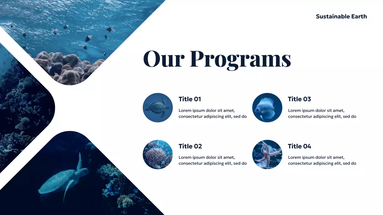 Blue Ocean Sustainable Earth Presentation