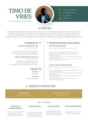 Groen en Goud Eenvoudig Modern Elegant Verkoop Vertegenwoordiger Resume