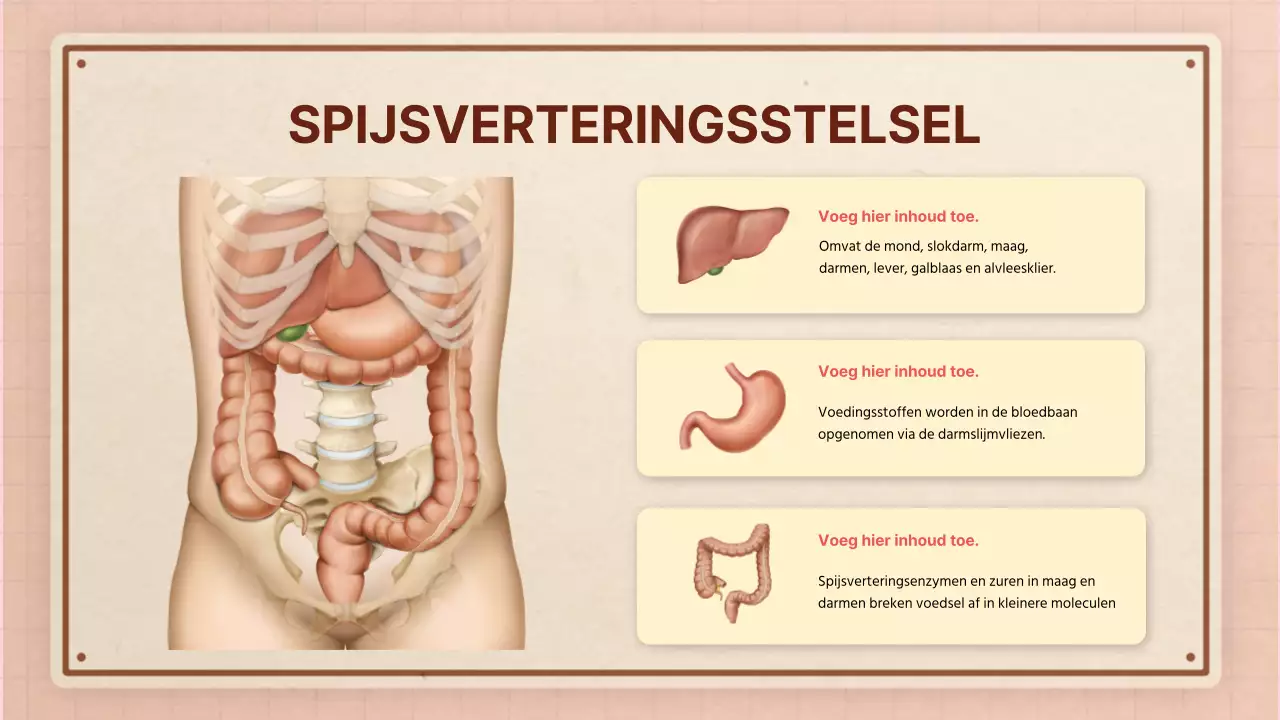 Bruin roze retro anatomie lesmateriaal