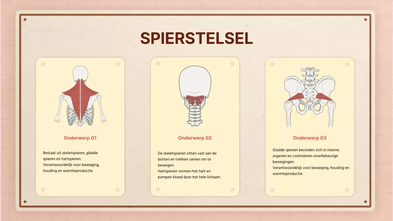 Bruin roze retro anatomie lesmateriaal