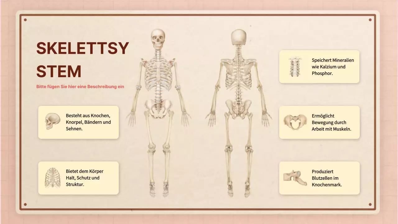 Braun rosa vintage retro Anatomie Klasse Material