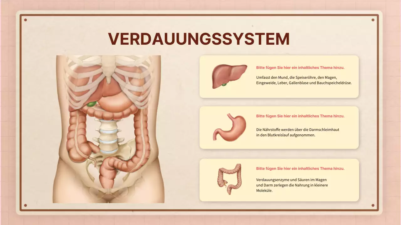 Braun rosa vintage retro Anatomie Klasse Material
