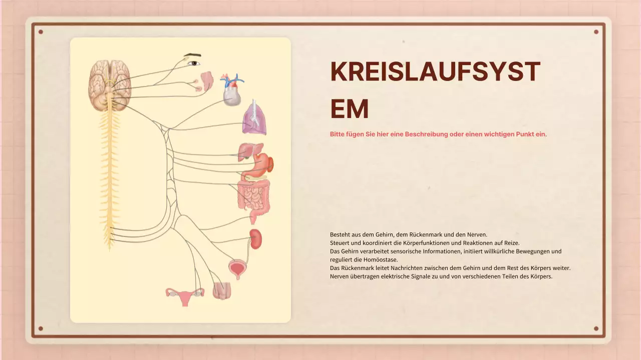 Braun rosa vintage retro Anatomie Klasse Material