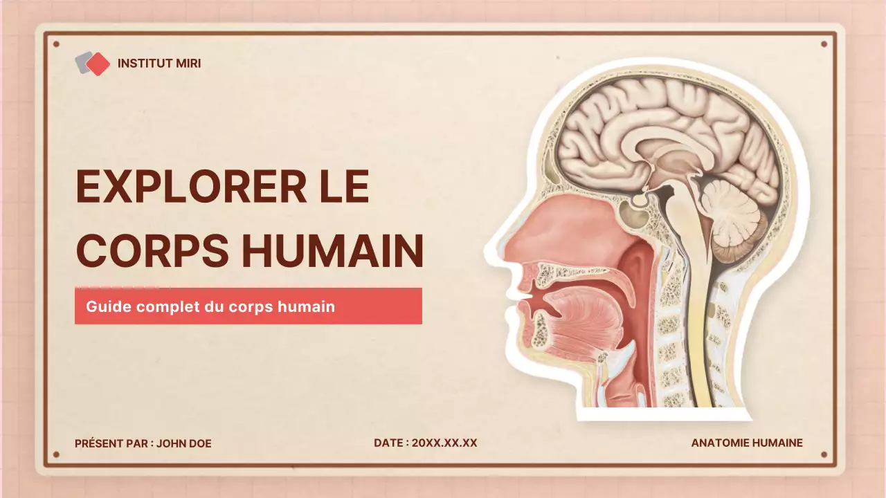 Matériel de cours d'anatomie rétro rose marron