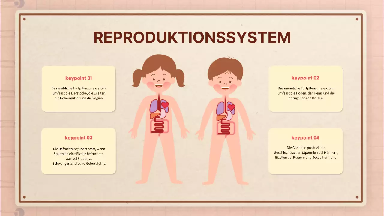 Braun rosa vintage retro Anatomie Klasse Material