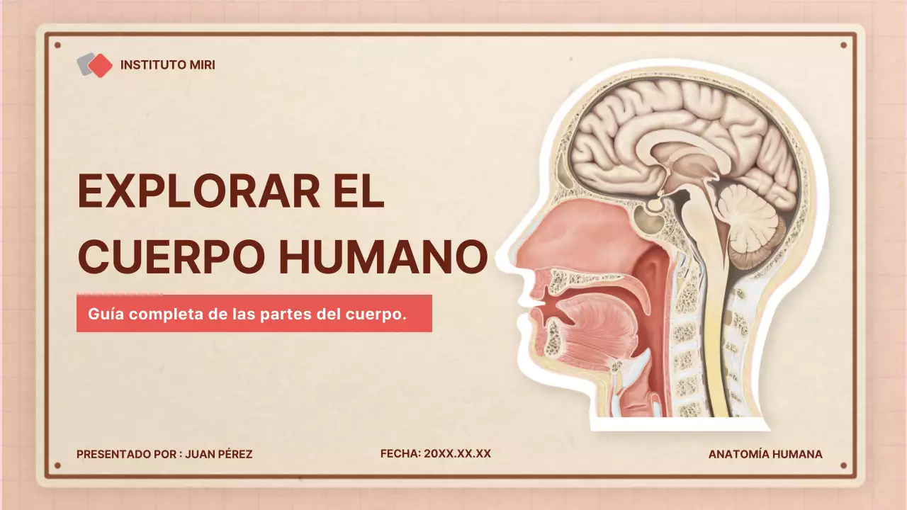 Marrón rosa vintage retro material de clase de anatomía