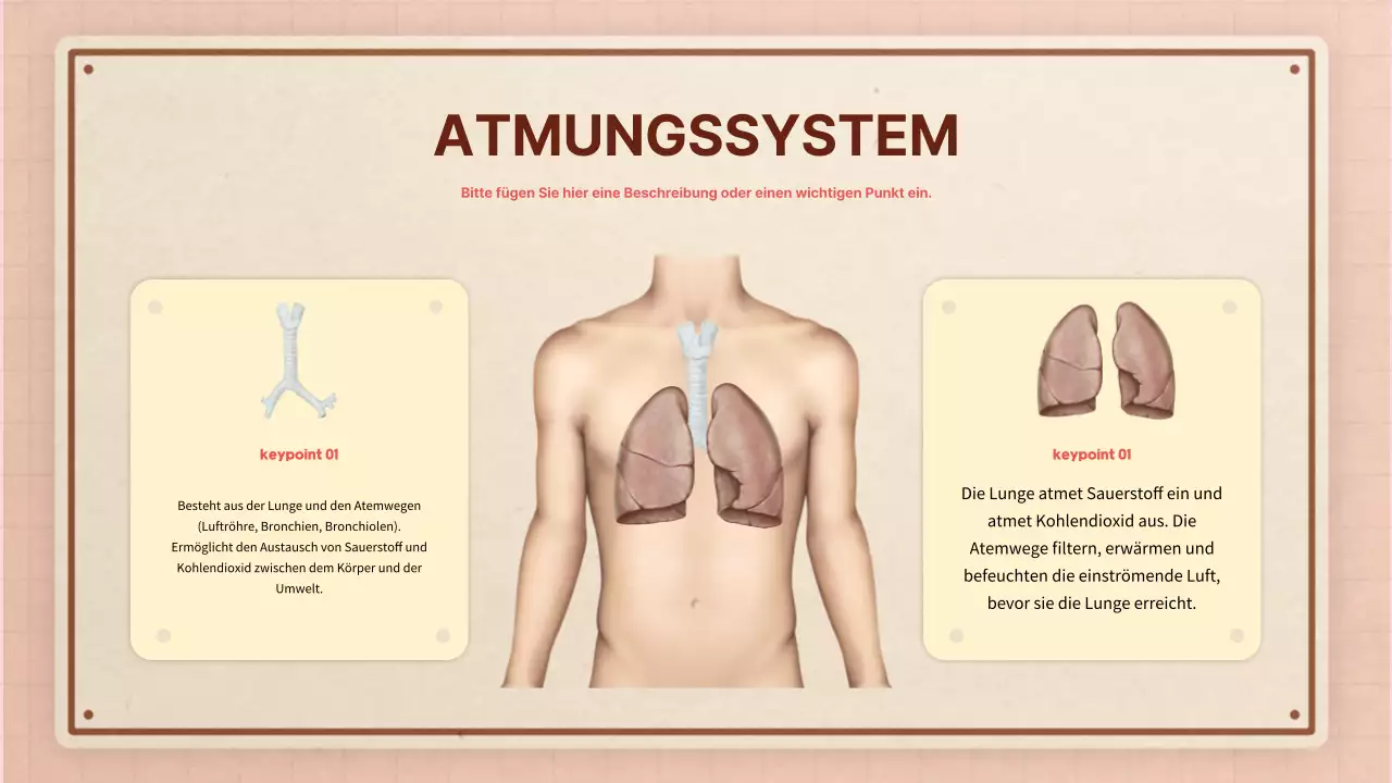 Braun rosa vintage retro Anatomie Klasse Material