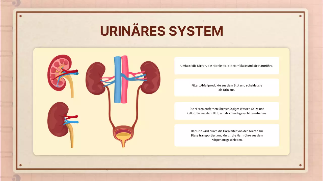 Braun rosa vintage retro Anatomie Klasse Material