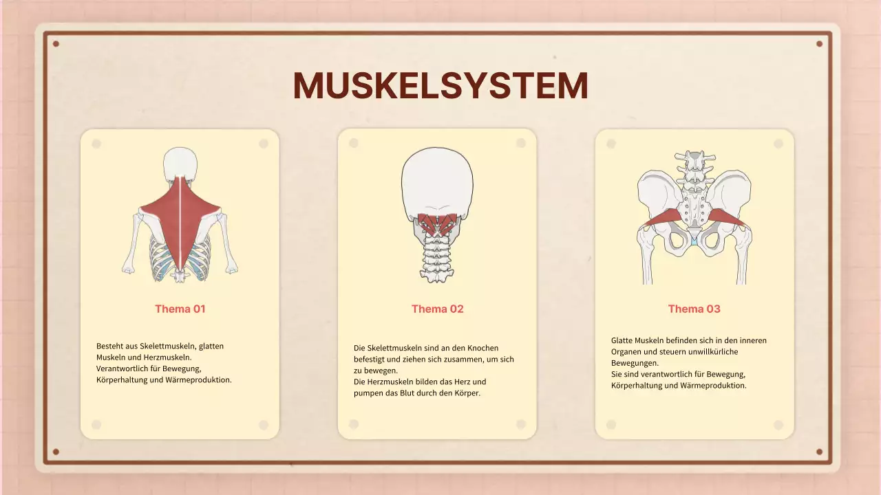 Braun rosa vintage retro Anatomie Klasse Material