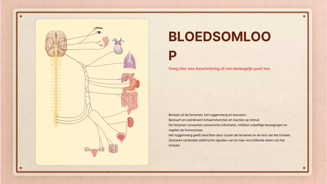 Bruin roze retro anatomie lesmateriaal