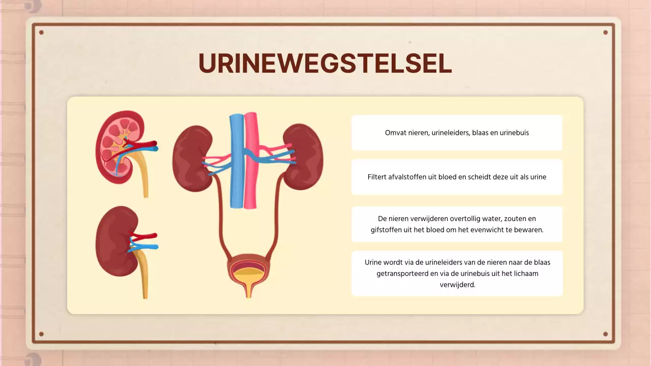 Bruin roze retro anatomie lesmateriaal