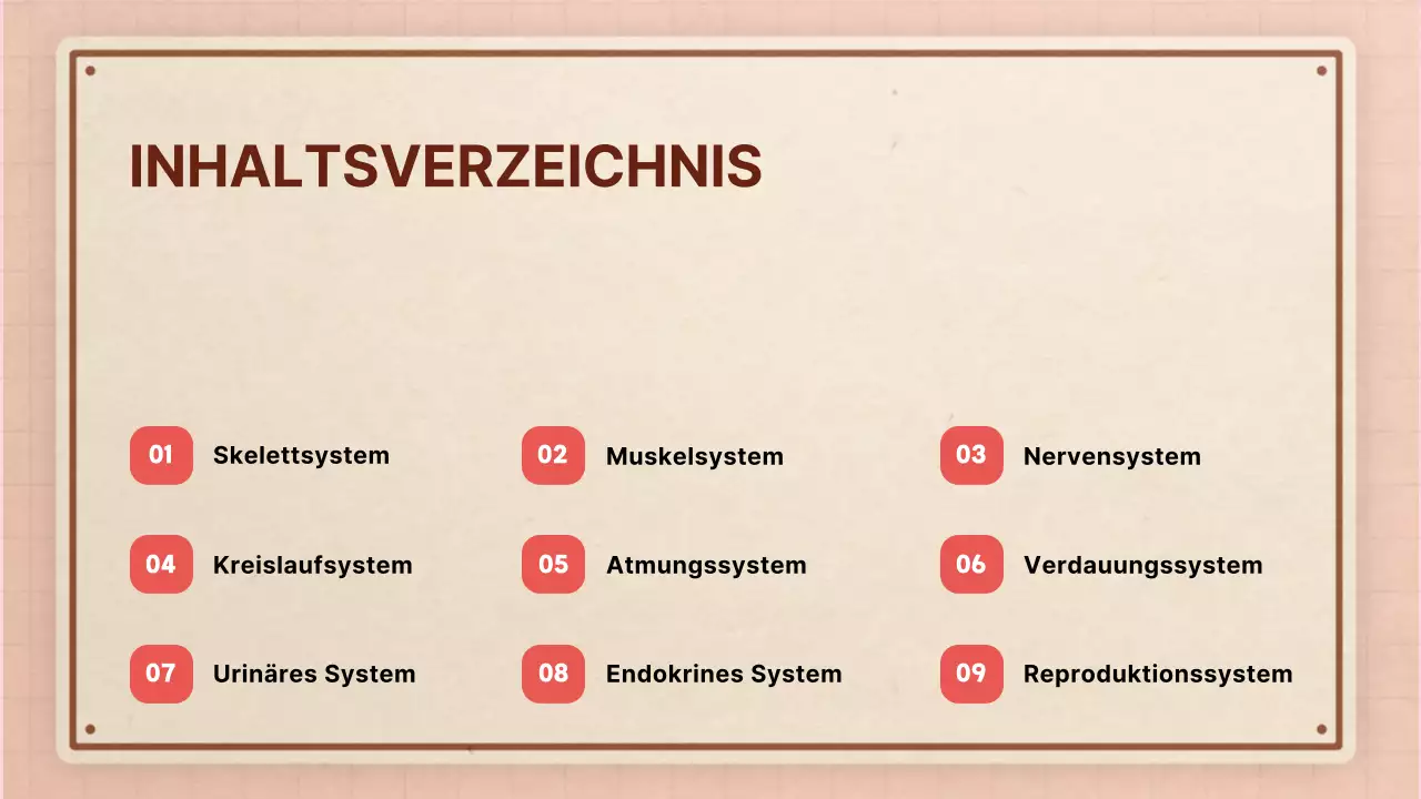 Braun rosa vintage retro Anatomie Klasse Material