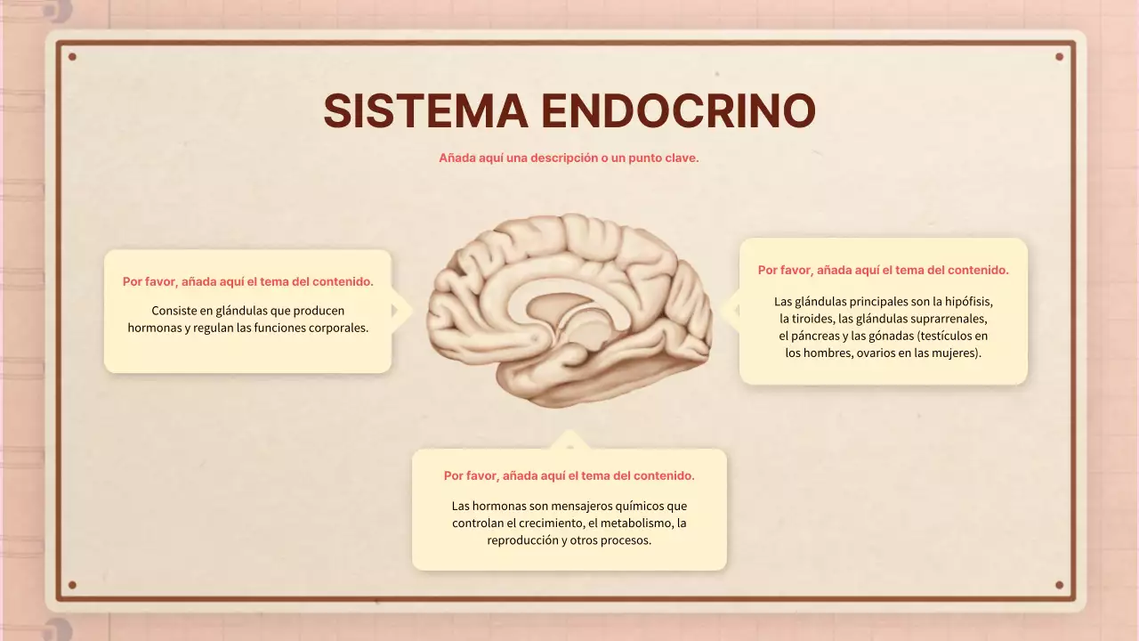 Marrón rosa vintage retro material de clase de anatomía