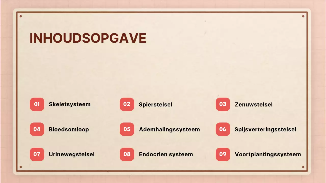 Bruin roze retro anatomie lesmateriaal