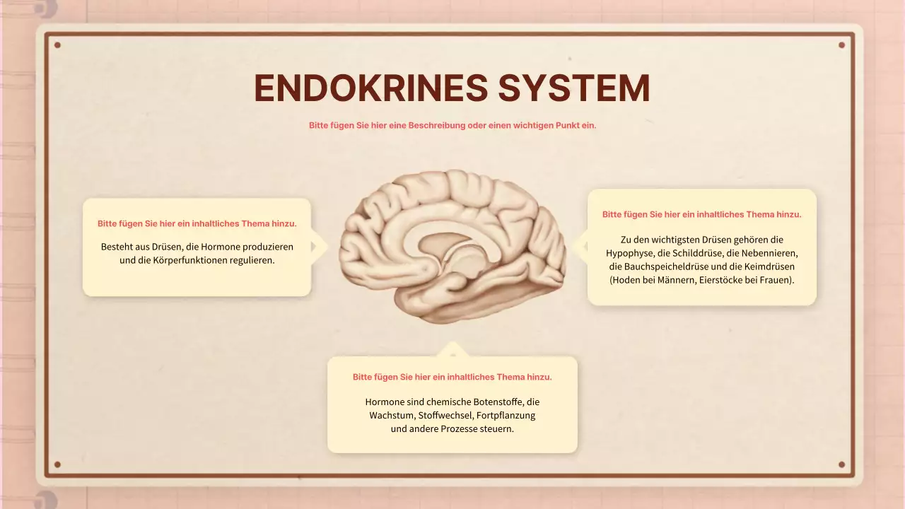 Braun rosa vintage retro Anatomie Klasse Material