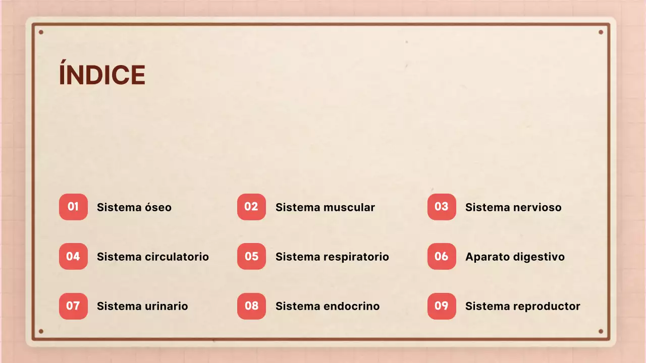 Marrón rosa vintage retro material de clase de anatomía