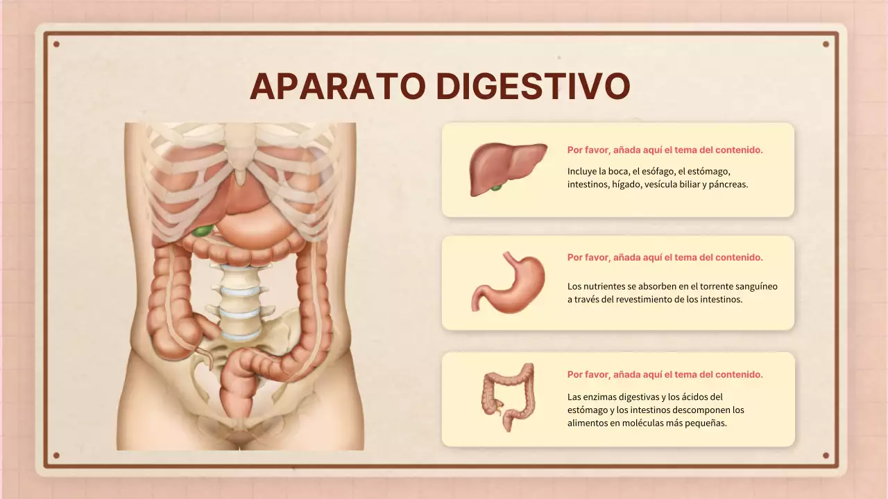 Marrón rosa vintage retro material de clase de anatomía