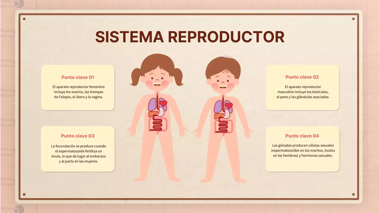 Marrón rosa vintage retro material de clase de anatomía