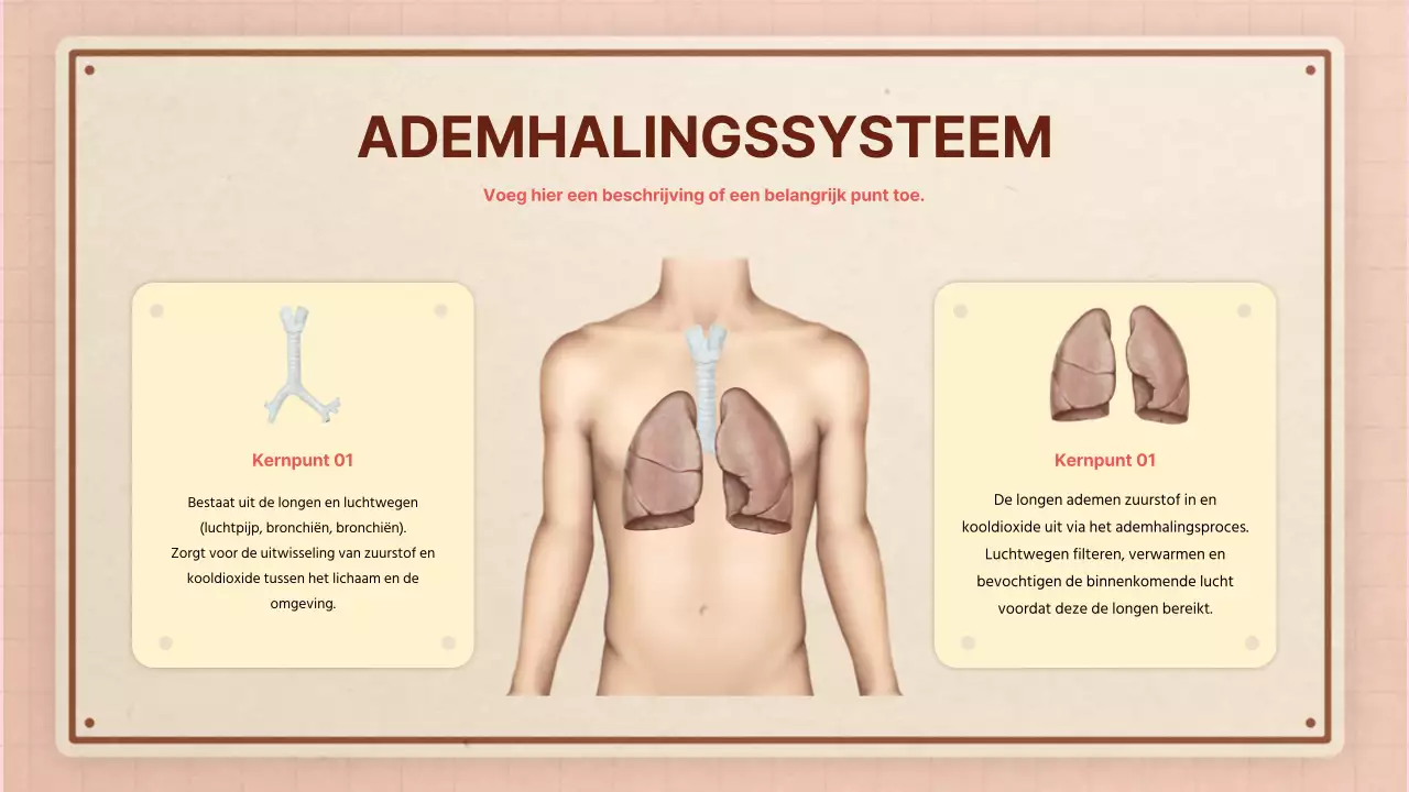 Bruin roze retro anatomie lesmateriaal