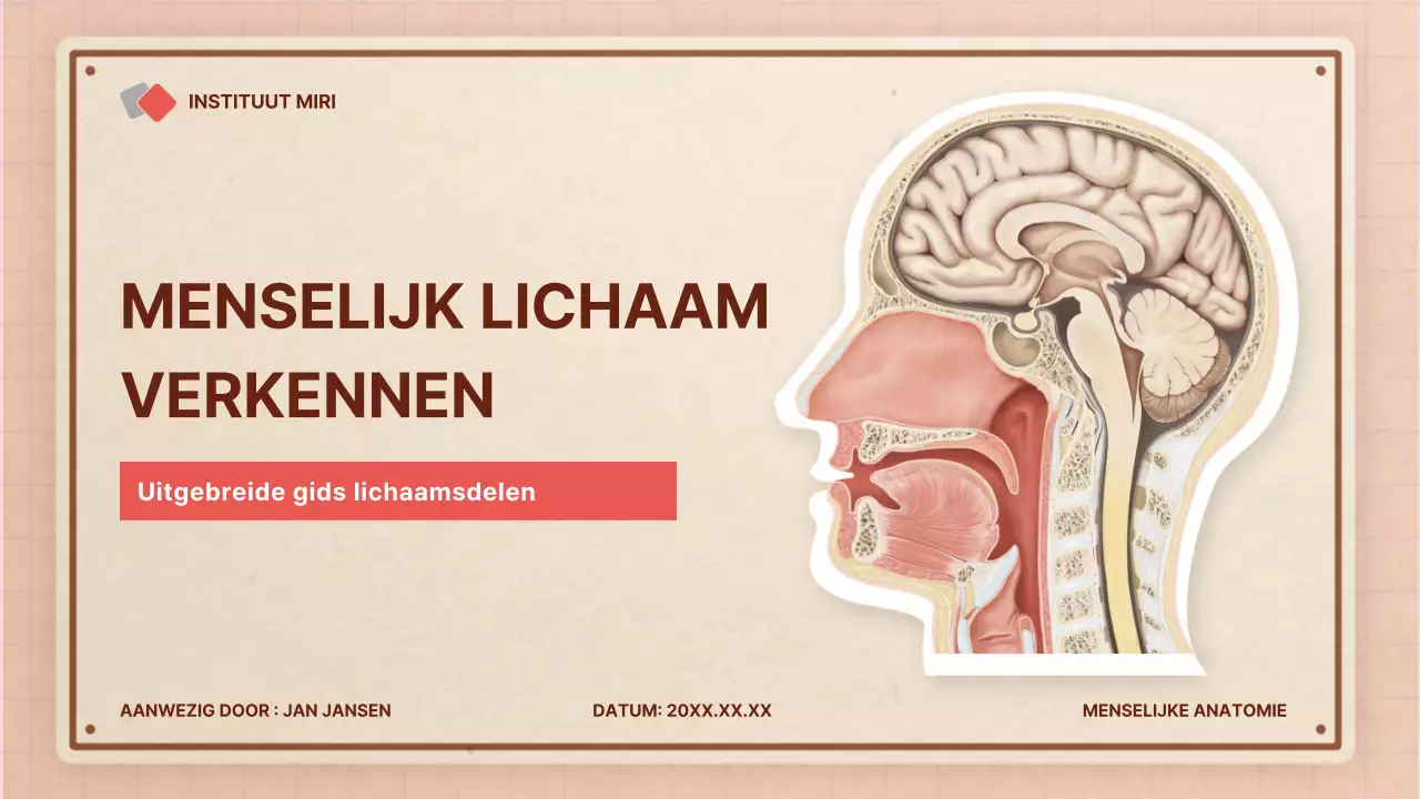 Bruin roze retro anatomie lesmateriaal