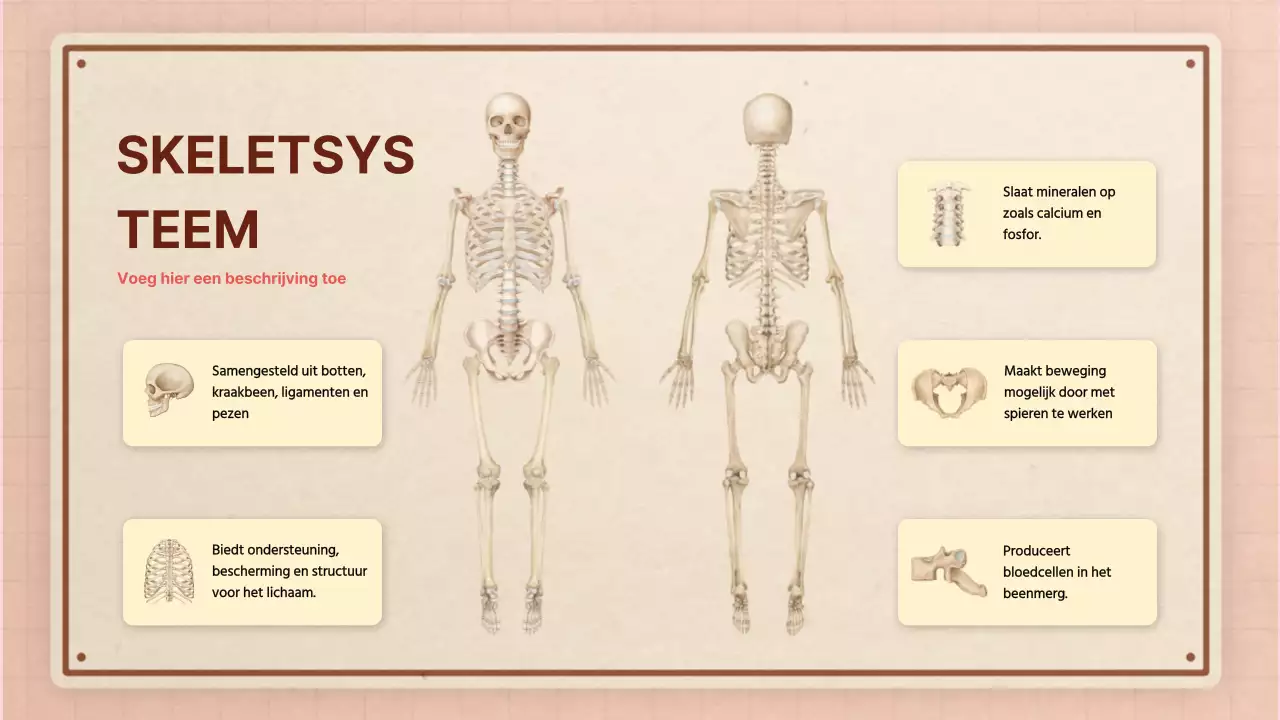 Bruin roze retro anatomie lesmateriaal