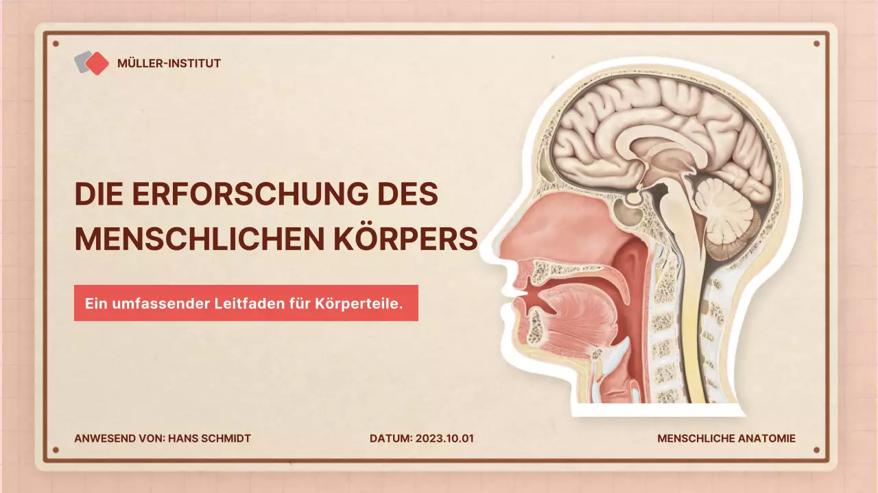 Braun rosa vintage retro Anatomie Klasse Material