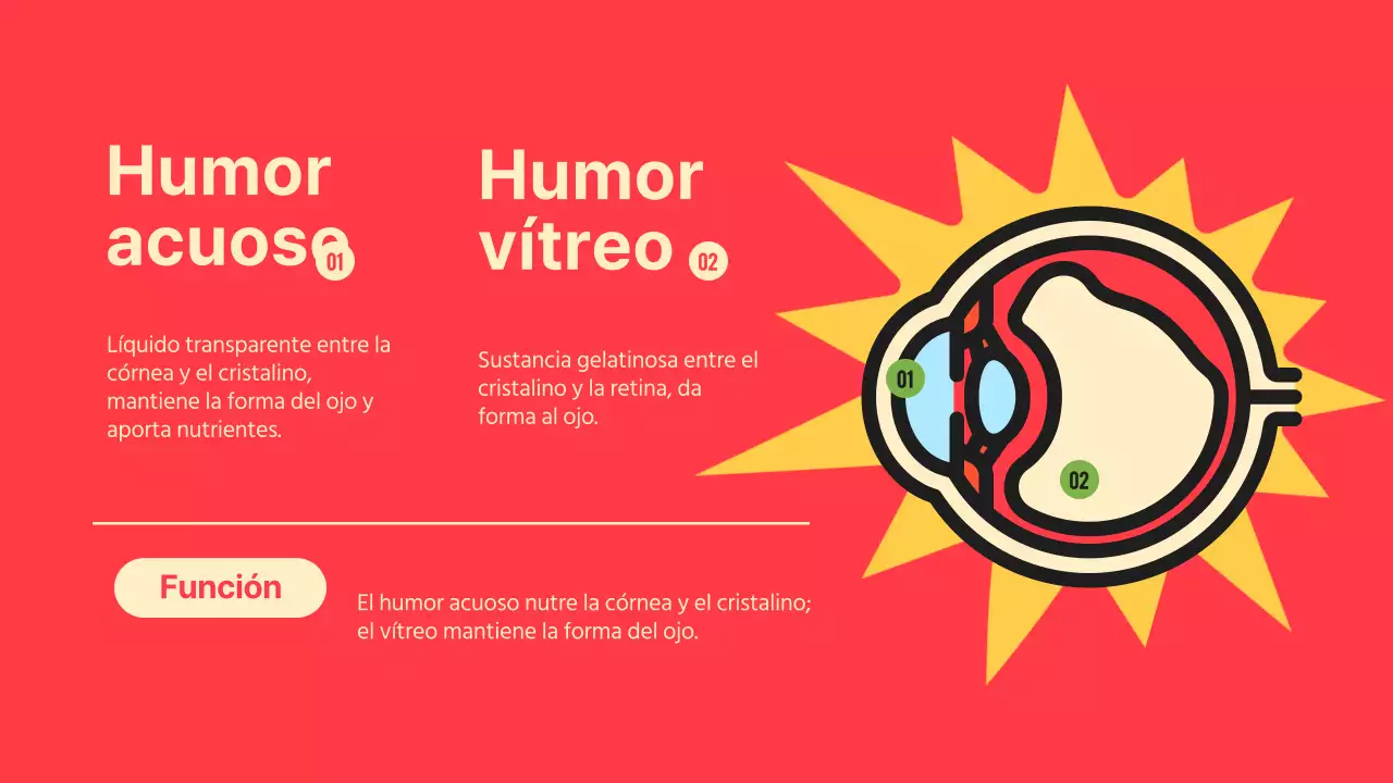 Black Orange Flashy Eyes Material de lectura