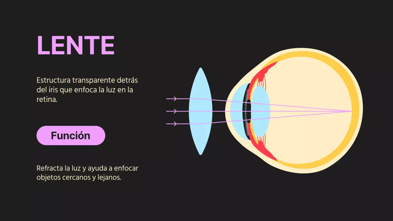 Black Orange Flashy Eyes Material de lectura