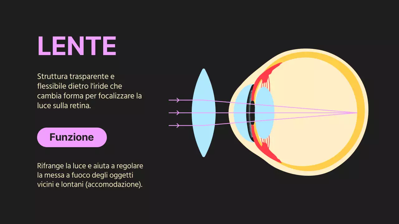 Nero arancione Occhi vistosi Materiale per conferenze