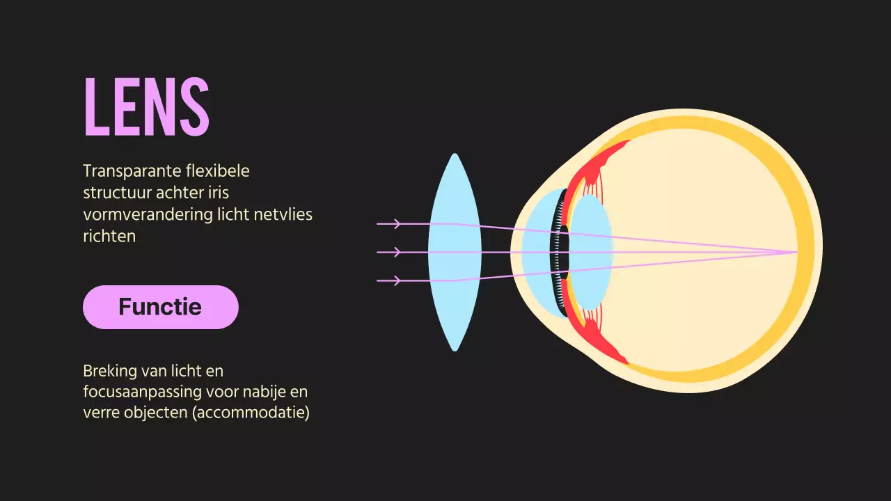 Zwart Oranje Flashy Eyes Voorleesmateriaal