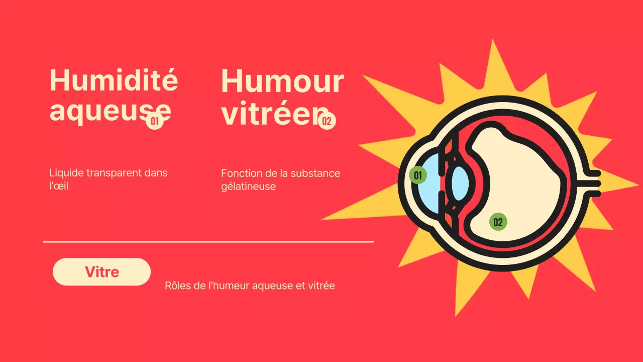 Noir Orange Flashy Eyes Lecture Material