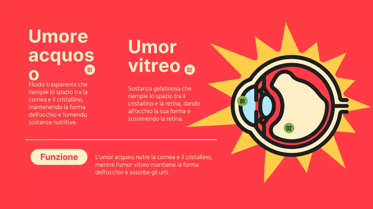 Nero arancione Occhi vistosi Materiale per conferenze