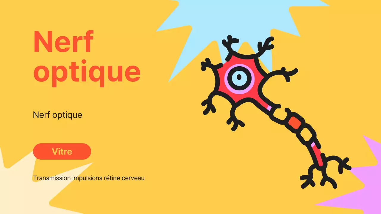 Noir Orange Flashy Eyes Lecture Material