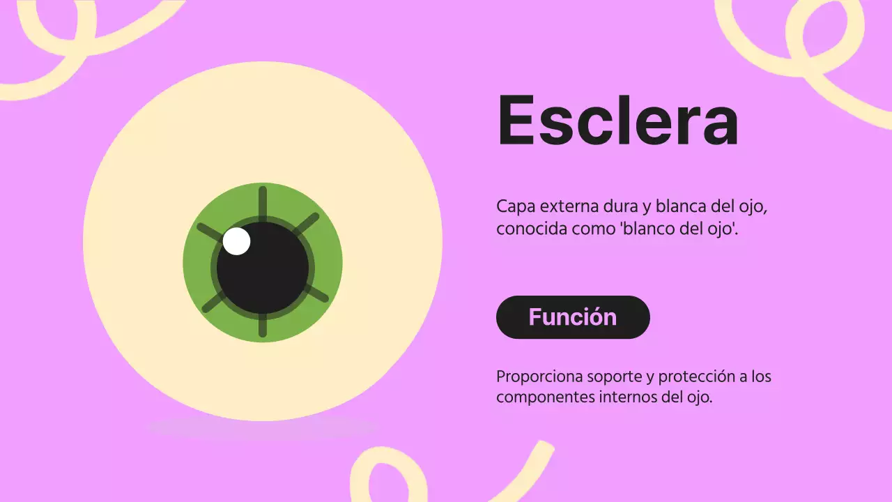 Black Orange Flashy Eyes Material de lectura