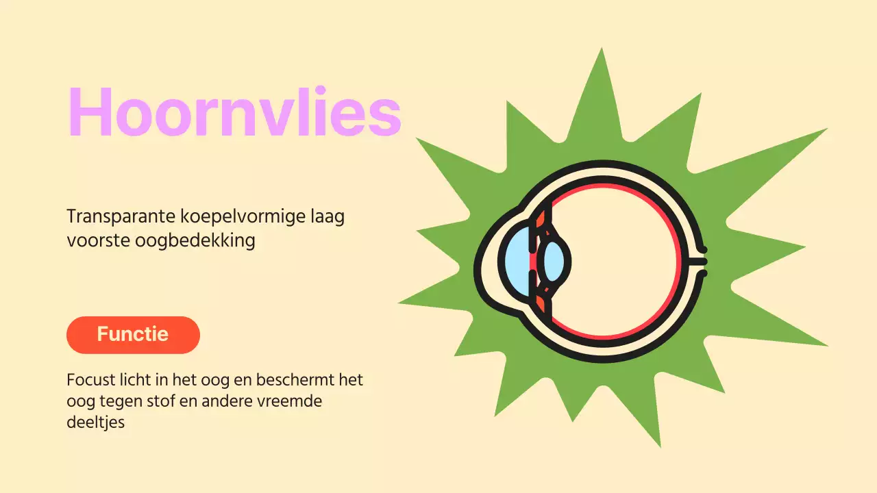 Zwart Oranje Flashy Eyes Voorleesmateriaal