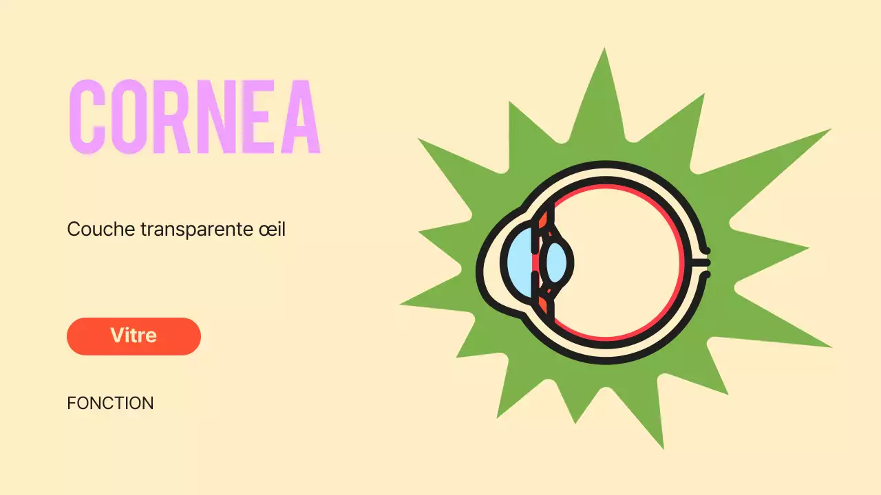 Noir Orange Flashy Eyes Lecture Material