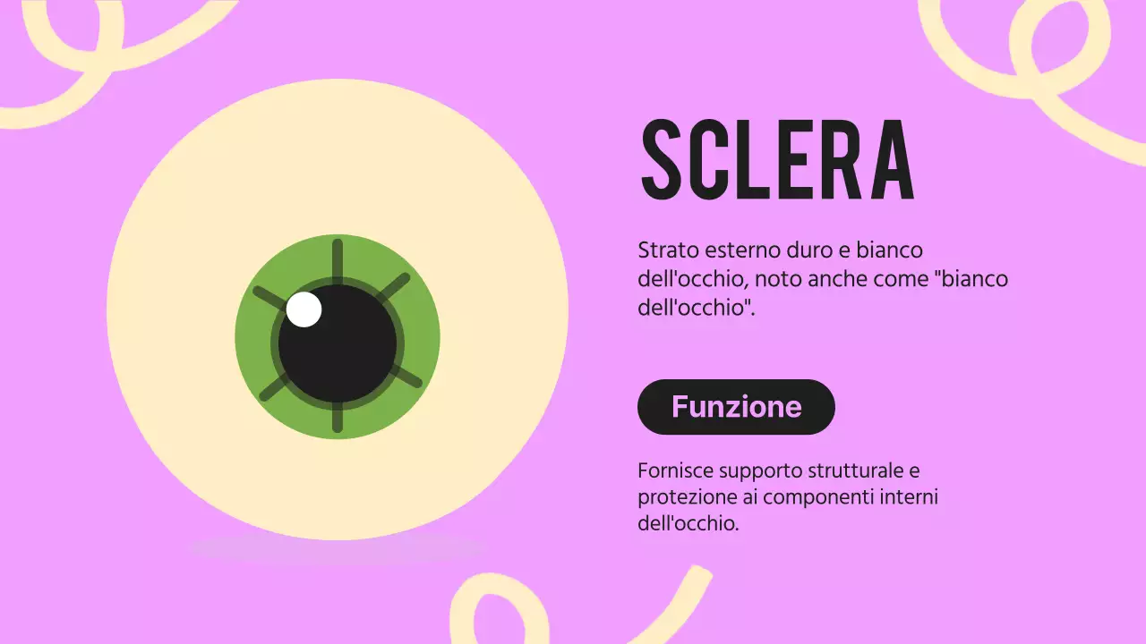 Nero arancione Occhi vistosi Materiale per conferenze