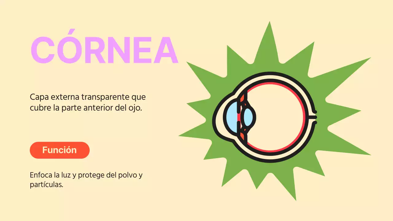 Black Orange Flashy Eyes Material de lectura