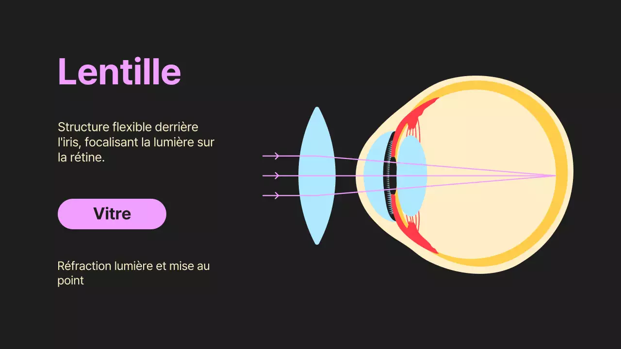 Noir Orange Flashy Eyes Lecture Material