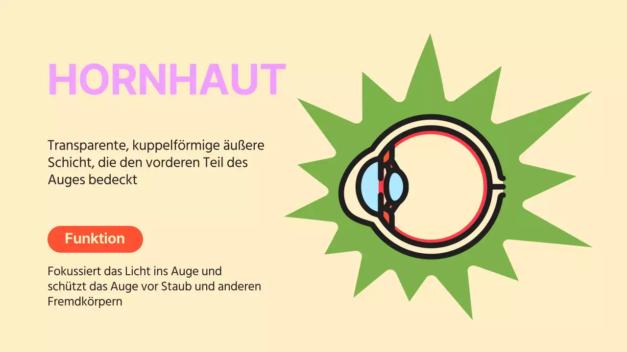 Schwarz Orange Flashy Eyes Vortragsmaterial