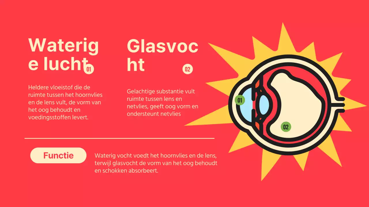 Zwart Oranje Flashy Eyes Voorleesmateriaal